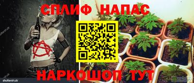 метадон Дубна