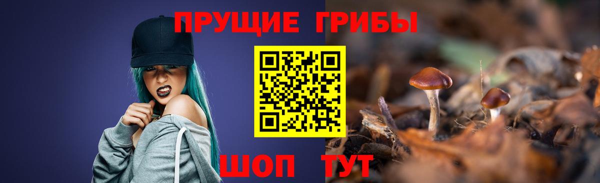Псилоцибиновые грибы GOLDEN TEACHER  Вход с VPN  Псилоцибиновые грибы мицелий  Междуреченск 
